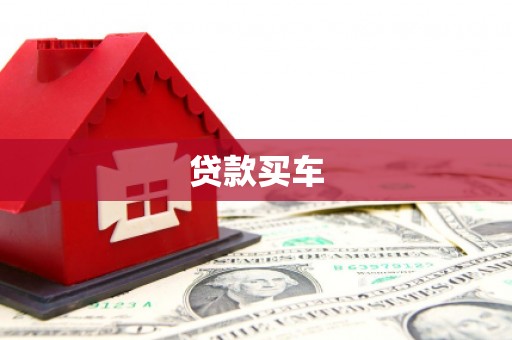 保亭贷款买车