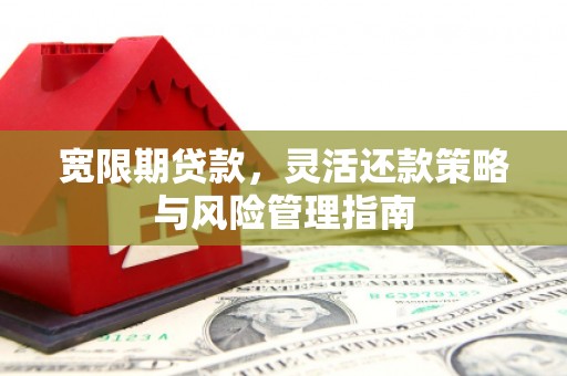 昭苏宽限期贷款，灵活还款策略与风险管理指南