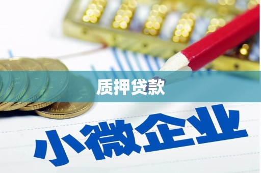 南海质押贷款