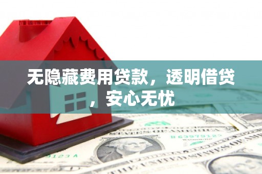 武冈无隐藏费用贷款，透明借贷，安心无忧