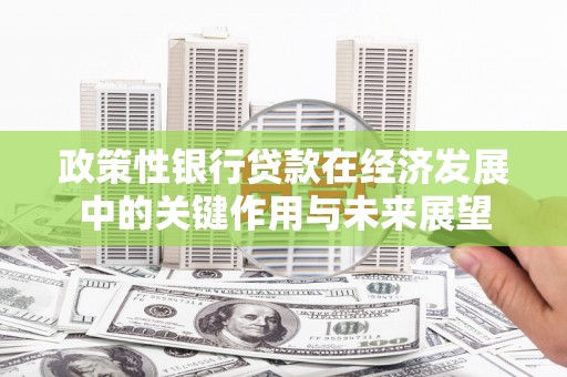 行唐政策性银行贷款在经济发展中的关键作用与未来展望