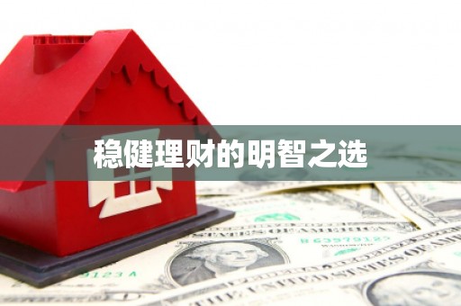 宁明稳健理财的明智之选