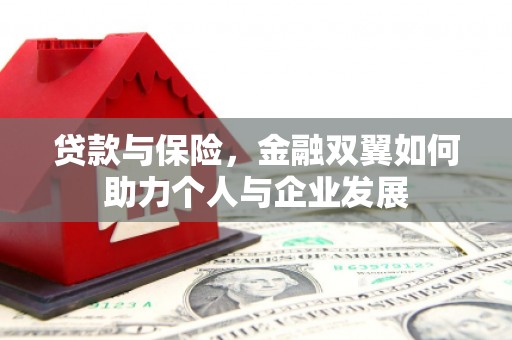 馆陶贷款与保险，金融双翼如何助力个人与企业发展