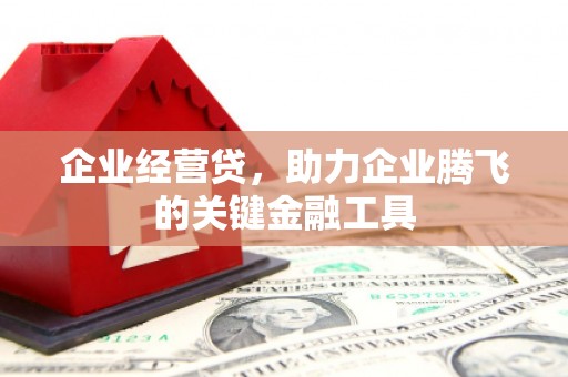 彭泽企业经营贷，助力企业腾飞的关键金融工具