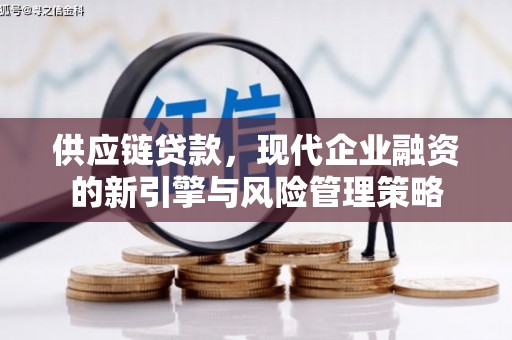 杂多供应链贷款，现代企业融资的新引擎与风险管理策略