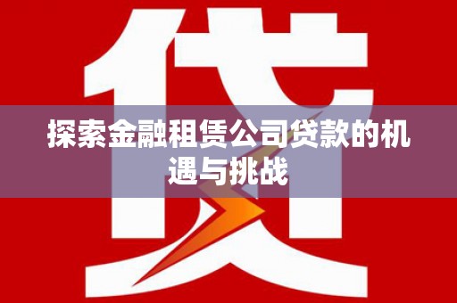 暖暖探索金融租赁公司贷款的机遇与挑战