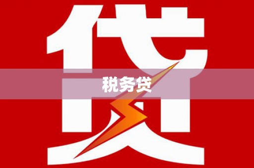 北港税务贷