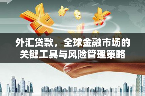 金寨外汇贷款，全球金融市场的关键工具与风险管理策略