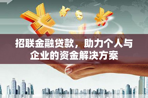 大安招联金融贷款，助力个人与企业的资金解决方案