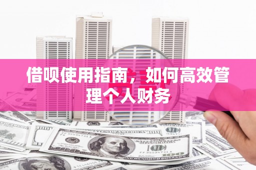 浦江借呗使用指南，如何高效管理个人财务
