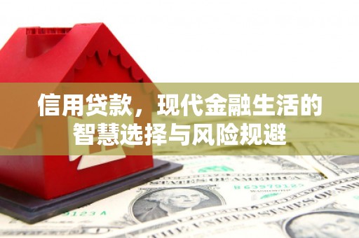 北关信用贷款，现代金融生活的智慧选择与风险规避