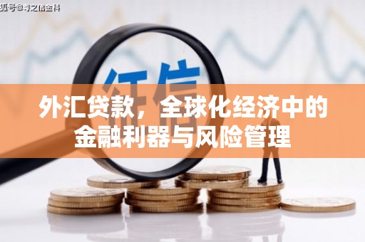 哈尔滨外汇贷款，全球化经济中的金融利器与风险管理