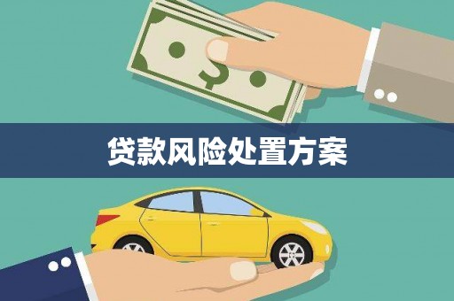 蒙阴贷款风险处置方案