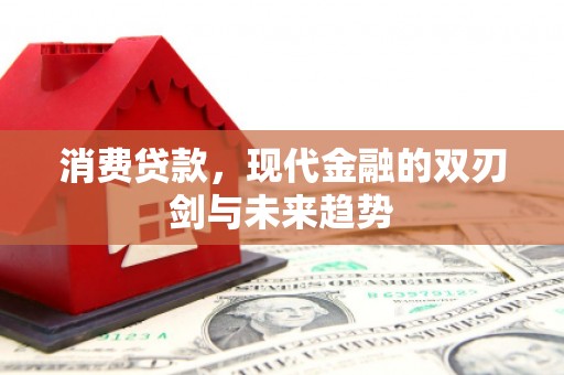 莎车消费贷款，现代金融的双刃剑与未来趋势