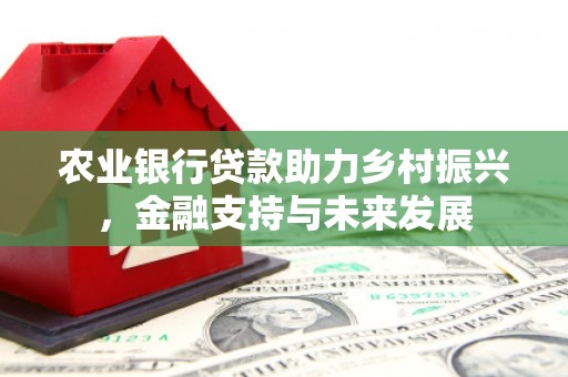 靖西农业银行贷款助力乡村振兴，金融支持与未来发展