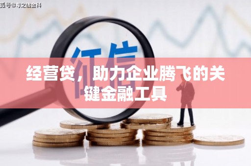 荔湾经营贷，助力企业腾飞的关键金融工具