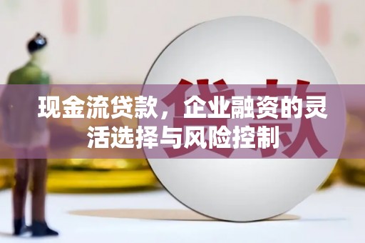 遂昌现金流贷款，企业融资的灵活选择与风险控制