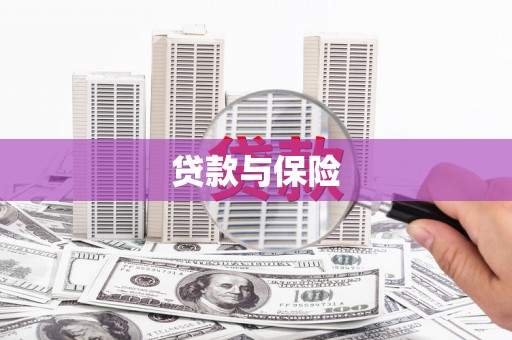 萨嘎贷款与保险