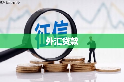 沈丘外汇贷款