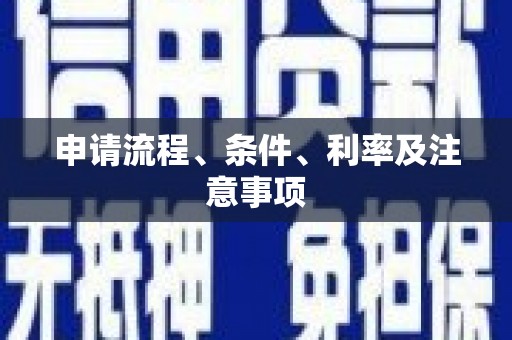 右玉申请流程、条件、利率及注意事项