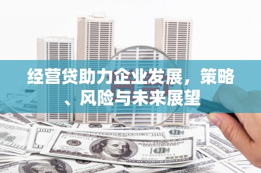 桓台经营贷助力企业发展，策略、风险与未来展望
