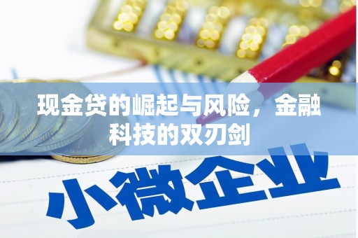 维西现金贷的崛起与风险，金融科技的双刃剑