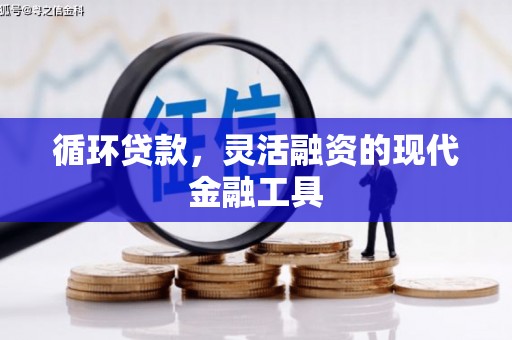 赤城循环贷款，灵活融资的现代金融工具