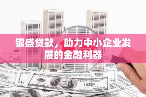罗定银盛贷款，助力中小企业发展的金融利器