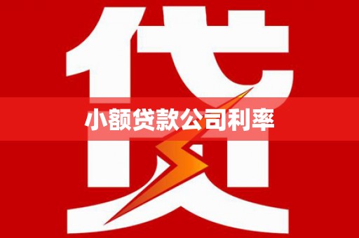 松滋小额贷款公司利率