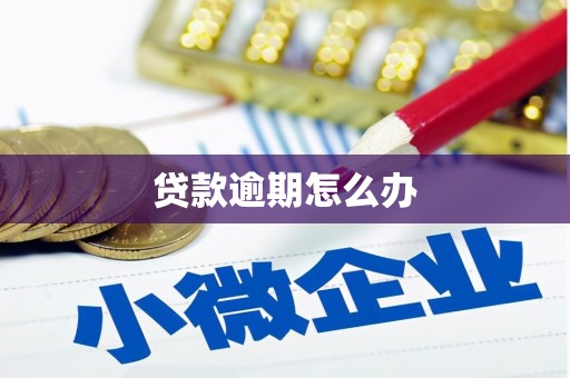 营口贷款逾期怎么办