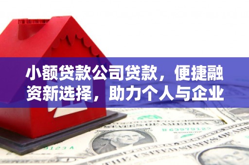 南投小额贷款公司贷款，便捷融资新选择，助力个人与企业成长