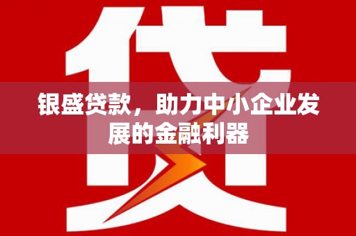 九龙城银盛贷款，助力中小企业发展的金融利器