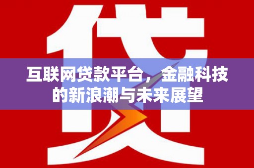 岱山互联网贷款平台，金融科技的新浪潮与未来展望