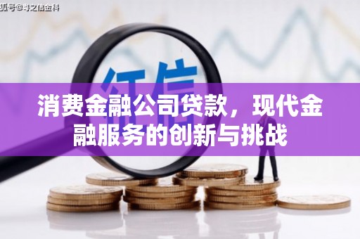 沈河消费金融公司贷款，现代金融服务的创新与挑战