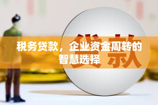 涡阳税务贷款，企业资金周转的智慧选择