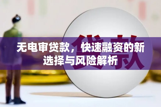 华龙无电审贷款，快速融资的新选择与风险解析