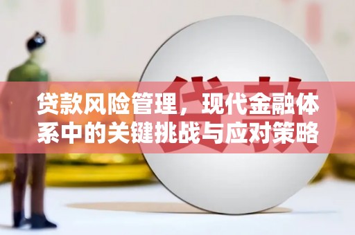 慈溪贷款风险管理，现代金融体系中的关键挑战与应对策略