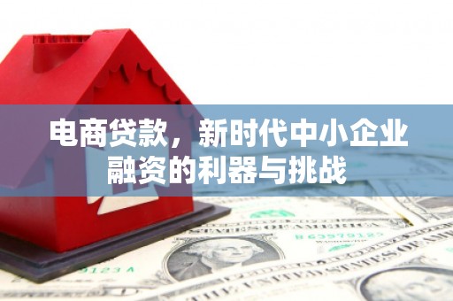 叙永电商贷款，新时代中小企业融资的利器与挑战