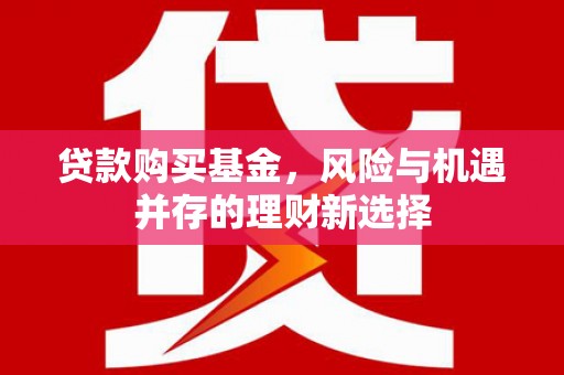 南岸贷款购买基金，风险与机遇并存的理财新选择