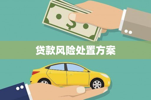 卓尼贷款风险处置方案