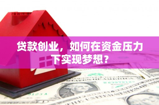 岱岳贷款创业，如何在资金压力下实现梦想？