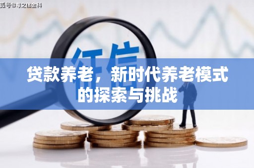 任城贷款养老，新时代养老模式的探索与挑战