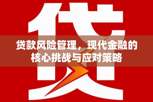 右江贷款风险管理，现代金融的核心挑战与应对策略