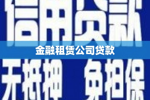 崖州金融租赁公司贷款