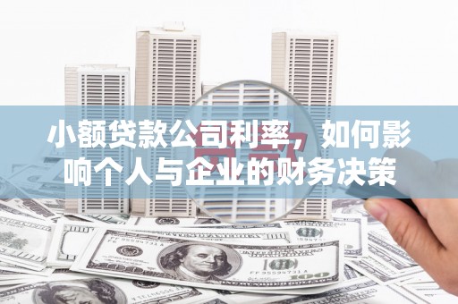 盖州小额贷款公司利率，如何影响个人与企业的财务决策