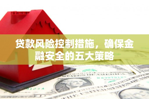 中站贷款风险控制措施，确保金融安全的五大策略