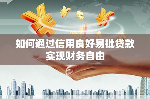阿瓦提如何通过信用良好易批贷款实现财务自由