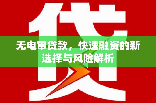 西林无电审贷款，快速融资的新选择与风险解析