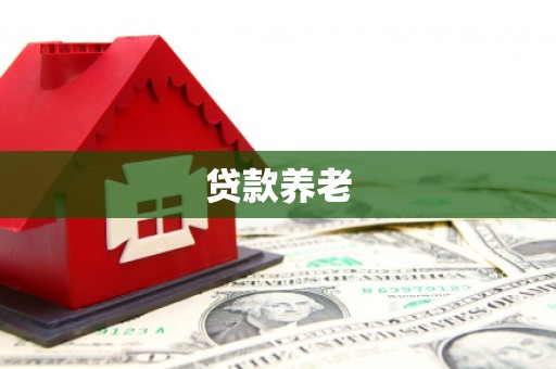 泰安贷款养老