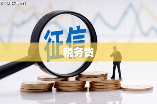 巴青税务贷